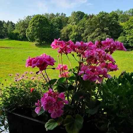 D Und R Schwesternherz